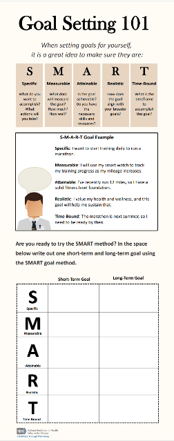 Goal Setting 101 Infographic