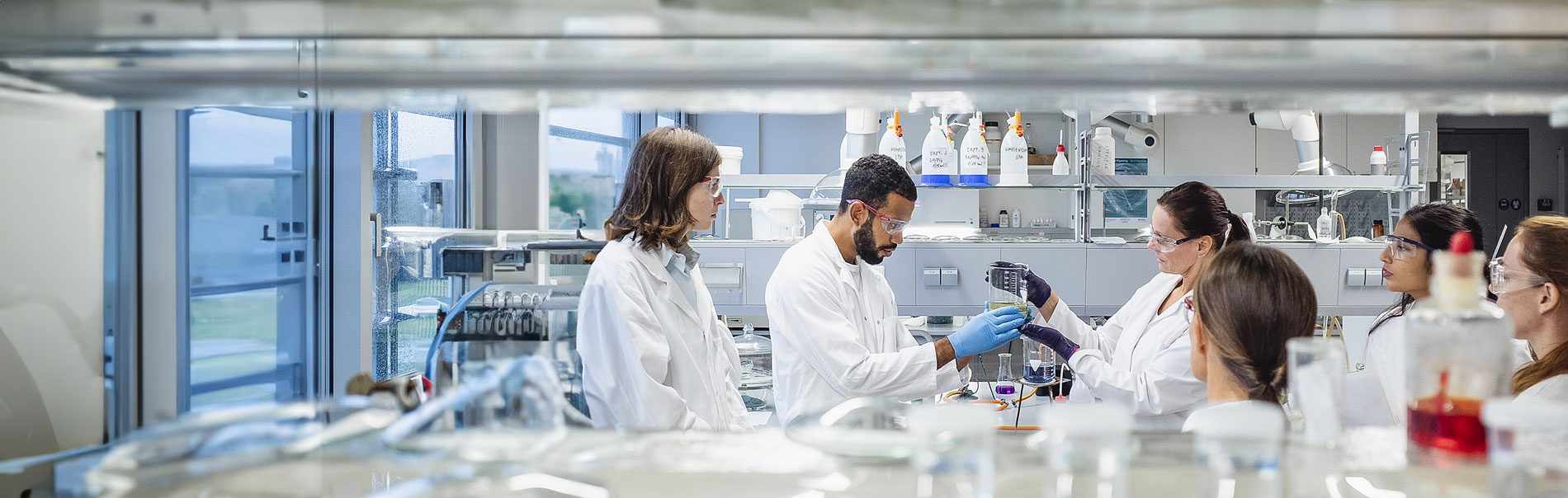 NIH Visiting Program Scientists
